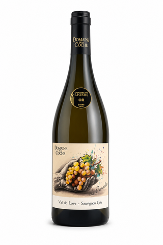 DOMAINE DE LA COCHE - LE PARADIS Sauvignon Gris 2025