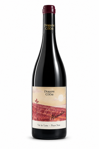 DOMAINE DE LA COCHE - HAMELIA Pinot Noir 2025