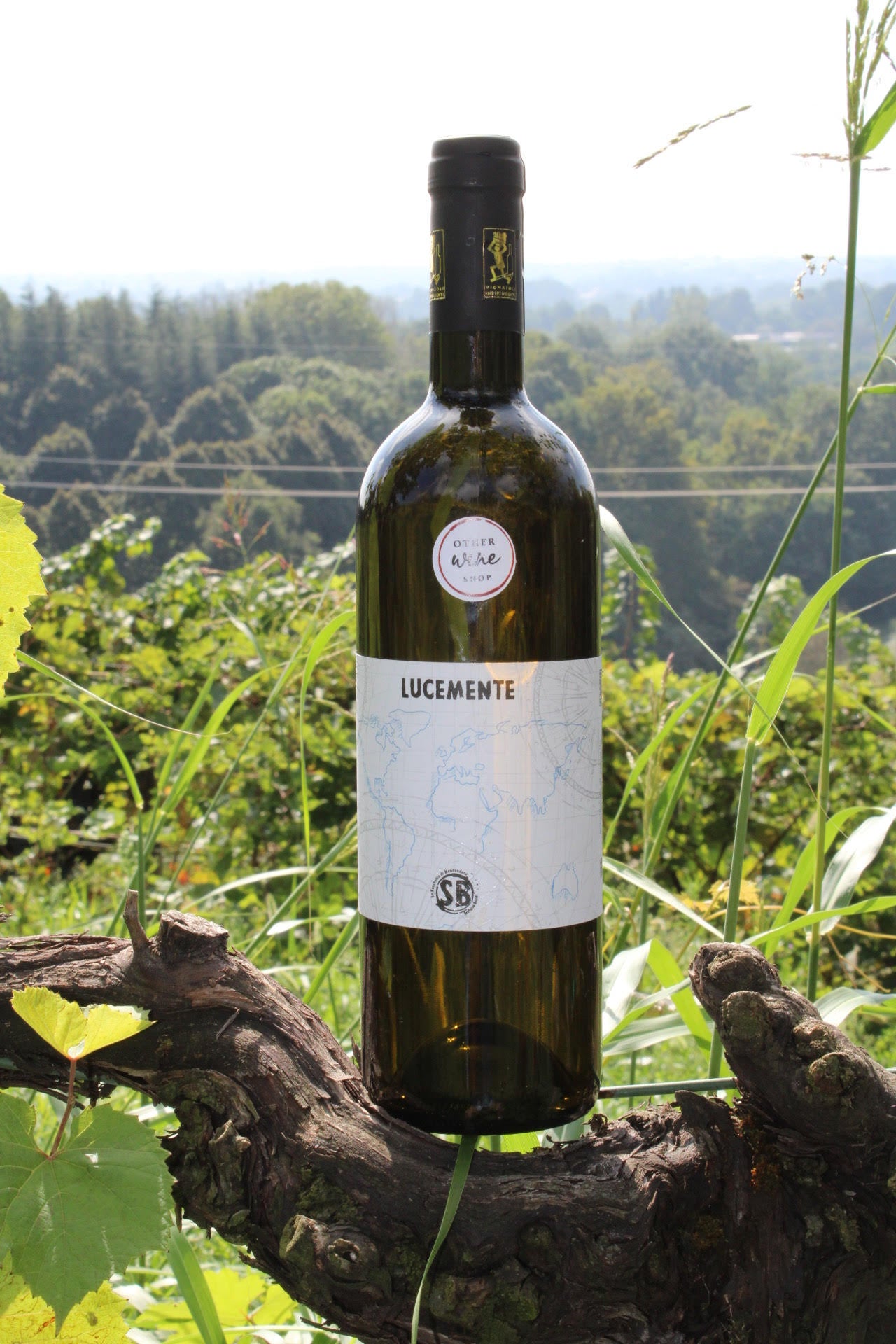 LA ROCCHETTA DI MONDONDONE - LUCEMENTE cortese/moscato Oltrepò 2017