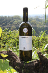 LA ROCCHETTA DI MONDONDONE - LUCEMENTE cortese/moscato Oltrepò 2017